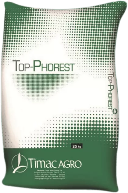 Top Phorest