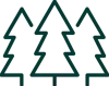 coniferas icon