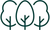 eucaliptos icon